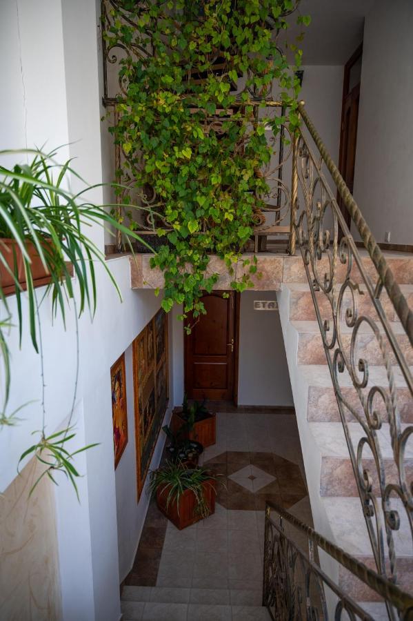 Kalypso Hotel Primorsko Extérieur photo